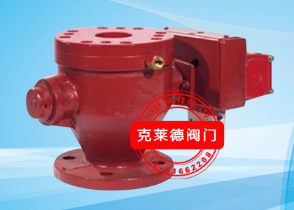 ���DN80   CP18639C-00